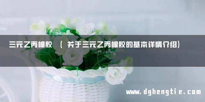 三元乙丙橡胶 (关于三元乙丙橡胶的基本详情介绍)